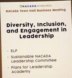 Diversity, Inclusion, Engagement.jpg