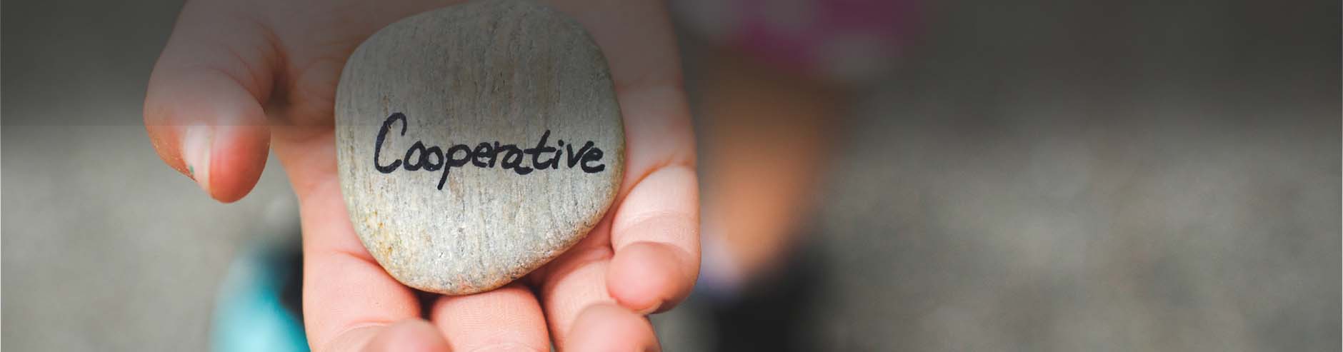 cooperative rock