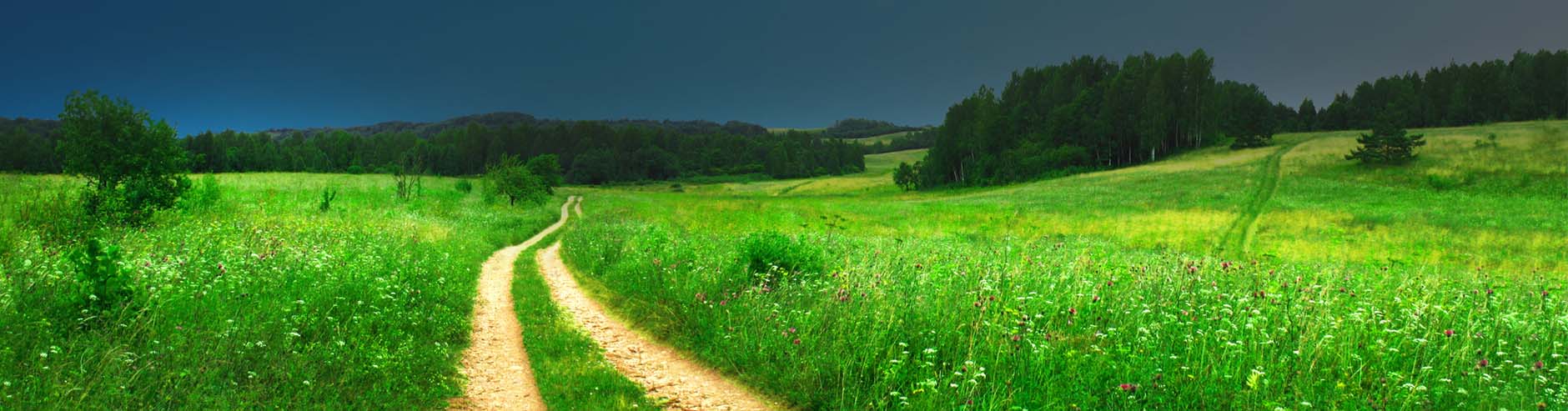 grass path